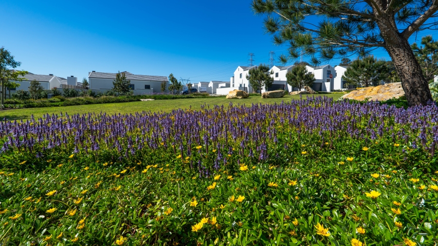 3 Bedroom Property for Sale in Haasendal Western Cape